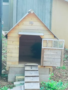 千葉市動物公園に投稿された画像（2023/9/26）