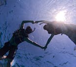 Sea World（シーワールド）に投稿された画像（2023/9/26）