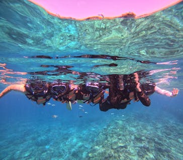 Sea World（シーワールド）に投稿された画像（2023/9/26）