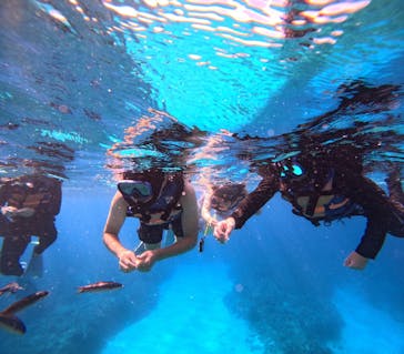 Sea World（シーワールド）に投稿された画像（2023/9/26）