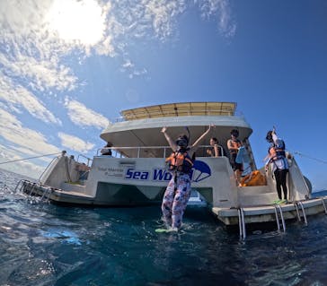 Sea World（シーワールド）に投稿された画像（2023/9/26）