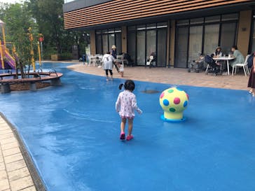 世界淡水魚園水族館　アクア・トトぎふに投稿された画像（2023/9/26）