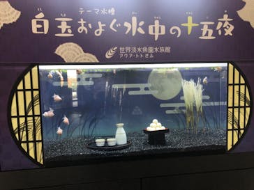 世界淡水魚園水族館　アクア・トトぎふに投稿された画像（2023/9/26）