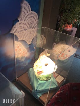 世界淡水魚園水族館　アクア・トトぎふに投稿された画像（2023/9/26）