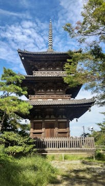 三溪園に投稿された画像（2023/9/26）