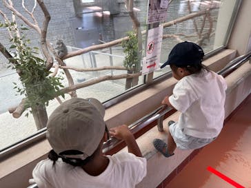 淡路ファームパーク イングランドの丘に投稿された画像（2023/9/26）