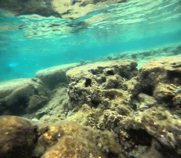 武藤潜水に投稿された画像（2023/9/26）