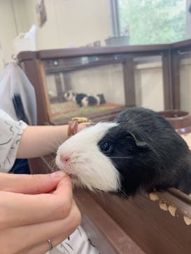 成田ゆめ牧場に投稿された画像（2023/9/26）