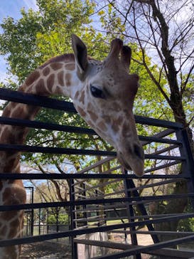 宇都宮動物園に投稿された画像（2023/9/26）