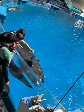 マクセル アクアパーク品川に投稿された画像（2023/9/26）