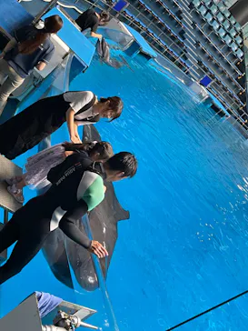 マクセル アクアパーク品川に投稿された画像（2023/9/26）