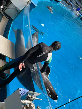 マクセル アクアパーク品川に投稿された画像（2023/9/26）