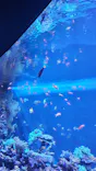 サンシャイン水族館に投稿された画像（2023/9/26）