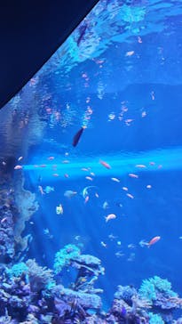 サンシャイン水族館に投稿された画像（2023/9/26）