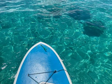 宮古島 ADVENTURE PiPi（ミヤコジマ アドベンチャー ピピ）に投稿された画像（2023/9/26）