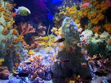 サンシャイン水族館に投稿された画像（2023/9/26）