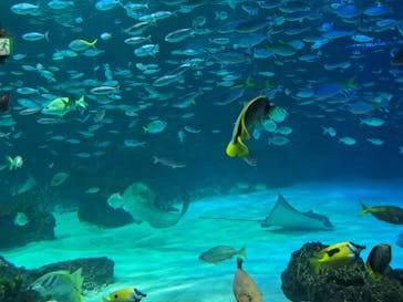 サンシャイン水族館に投稿された画像（2023/9/26）