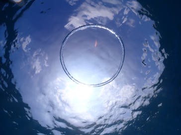 ちゃこたびに投稿された画像（2023/9/26）