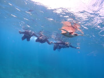 ちゃこたびに投稿された画像（2023/9/26）