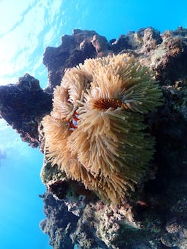 ちゃこたびに投稿された画像（2023/9/26）