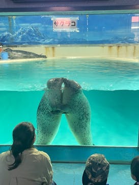 下田海中水族館に投稿された画像（2023/9/26）