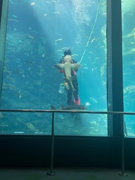 下田海中水族館に投稿された画像（2023/9/26）