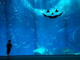 アクアワールド茨城県大洗水族館に投稿された画像（2023/9/26）