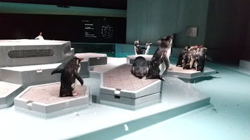 AOAO SAPPOROに投稿された画像（2023/9/26）