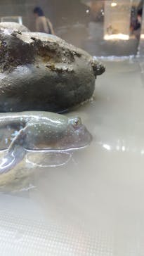 AOAO SAPPOROに投稿された画像（2023/9/26）