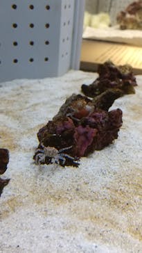 AOAO SAPPOROに投稿された画像（2023/9/26）