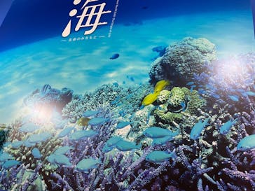 特別展「海　―生命のみなもと―」（国立科学博物館）に投稿された画像（2023/9/26）
