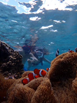 宮古島 ADVENTURE PiPi（ミヤコジマ アドベンチャー ピピ）に投稿された画像（2023/9/26）