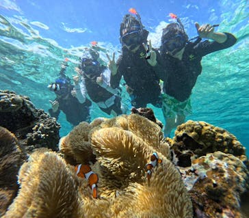 宮古島 ADVENTURE PiPi（ミヤコジマ アドベンチャー ピピ）に投稿された画像（2023/9/26）