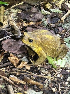 宮古島 ADVENTURE PiPi（ミヤコジマ アドベンチャー ピピ）に投稿された画像（2023/9/26）