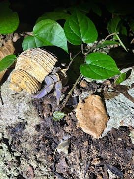 宮古島 ADVENTURE PiPi（ミヤコジマ アドベンチャー ピピ）に投稿された画像（2023/9/26）