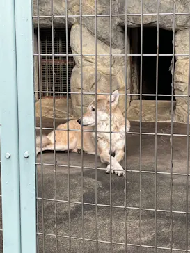 天王寺動物園に投稿された画像（2023/9/26）