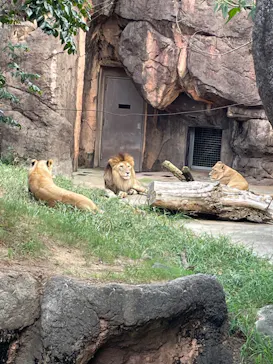 天王寺動物園に投稿された画像（2023/9/26）