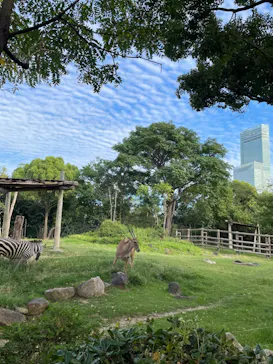 天王寺動物園に投稿された画像（2023/9/26）