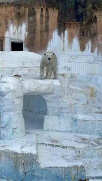 天王寺動物園に投稿された画像（2023/9/26）