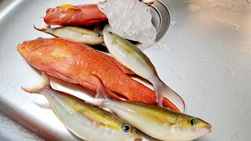 釣り船　博栄丸に投稿された画像（2023/9/26）