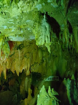 あぶくま洞に投稿された画像（2023/9/26）