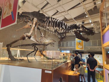国立科学博物館に投稿された画像（2023/9/26）