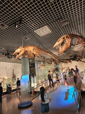 国立科学博物館に投稿された画像（2023/9/26）