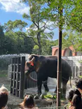 よこはま動物園ズーラシアに投稿された画像（2023/9/27）