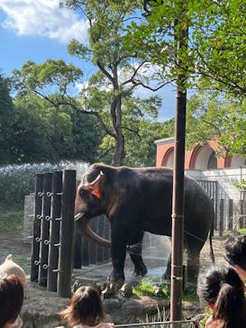 よこはま動物園ズーラシアに投稿された画像（2023/9/26）