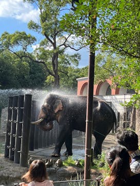 よこはま動物園ズーラシアに投稿された画像（2023/9/26）