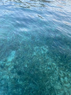 宮古島 ADVENTURE PiPi（ミヤコジマ アドベンチャー ピピ）に投稿された画像（2023/9/26）