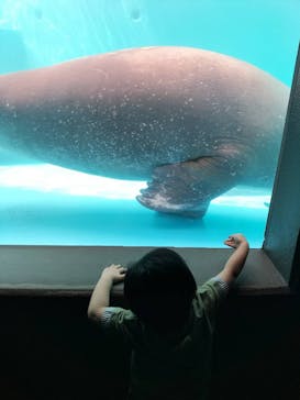 鴨川シーワールドに投稿された画像（2023/9/27）