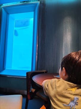 鴨川シーワールドに投稿された画像（2023/9/27）