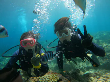 武藤潜水に投稿された画像（2023/9/27）